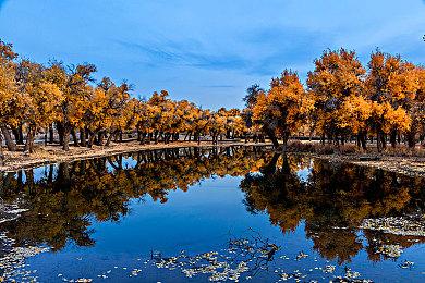 《上古卷轴5：天际》大量新消息：周年版、次世代升级和加入钓鱼